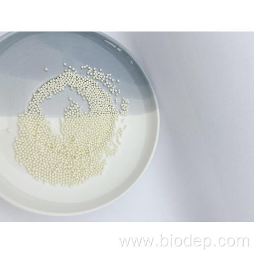 Freeze-dried 600 Billion CFU/g Lactobacillus Plantarum